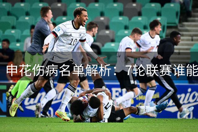 申花伤病名单解析：7轮联赛谁能归来 盖伊已无缘余下赛事